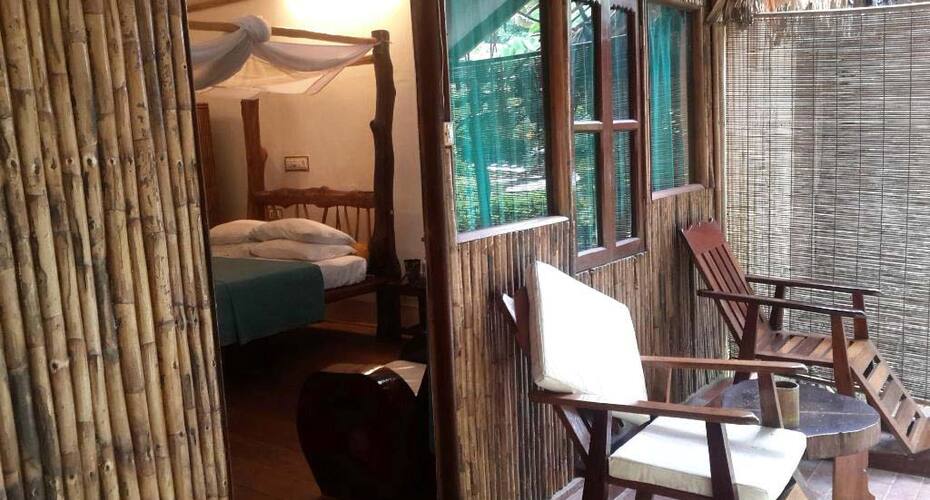 Wild Orchid, Havelock Island 5